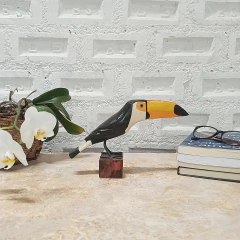 Tucano PB na internet