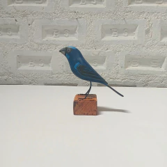 Azulão PB na internet