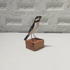 Bigode PB - comprar online