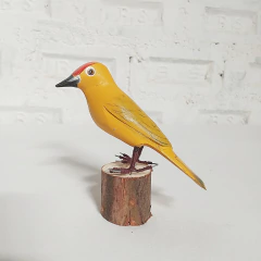 Pássaro MG - comprar online