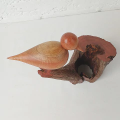 Imagem do Pássaro Madeira CE