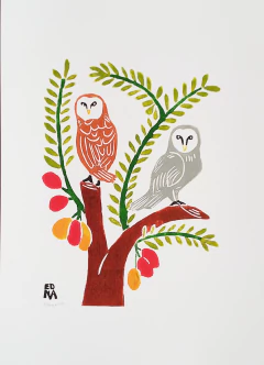 Coruja 48X33 Color Edna - comprar online