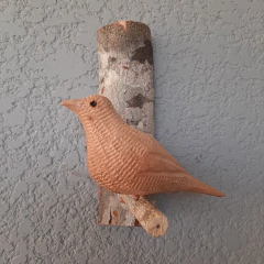 Pássaro No Galho Para Parede Ba