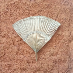 Leque P Carnauba Ce