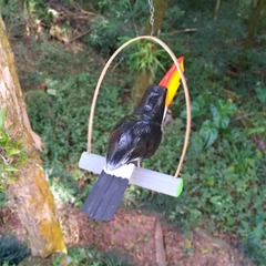 Tucano Miriti Pa - loja online