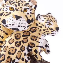 Onça - Ms na internet