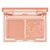 lilybyred - Little Bitty Moment Shadow - tienda online
