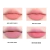 colorgram - All in One Over-Lip Maker - tienda online