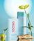 TOCOBO - Cotton Soft Sun Stick - 19g - JuliJuli Beauty K-shop