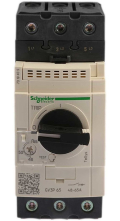 Guardamotor Trifasico Schneider 48-65a Gv3p65
