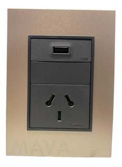 Llave Cambre Bauhaus Toma Usb + 220v Gris Y Champagne