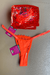 Kit de Calcinhas Neon na internet