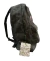 Mochila Licencia Oficial | Friends - comprar online