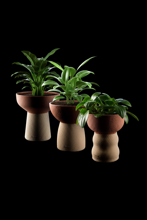 Vaso - Tierra (Autoirrigavel) - comprar online