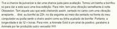 DECANT - Animale Gold Eau de Toilette - ANIMALE - comprar online