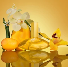 DECANTÃO - Euphoria Solar Elixir Parfum Intense - CALVIN KLEIN - comprar online