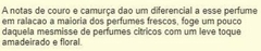 DECANTÃO - L.12.12 Blanc Pure Eau de Toilette - LACOSTE - Mac Decants