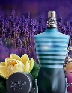 DECANT - Le Male Eau de Toilette - JEAN PAUL - comprar online