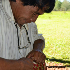 Canasto Mbya Guaraní Cestería Ancestral - tienda online