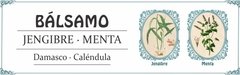 BÁLSAMO LABIAL - JENGIBRE Y MENTA 5 g - comprar online
