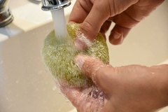 Esponja Konjac Aloe Vera Limpieza Facial Pieles Mixtas Grasas en internet