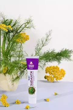 PASTA DENTAL AYURVÉDICA SUDANTA CON HINOJO Y MENTA 100G - comprar online