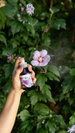 MÍSTICA MENTE - BRUMA ÁURICA VETER - comprar online