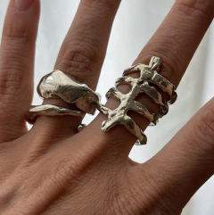 ANILLO VERTEBRATO en internet