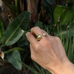 Imagen de ANILLO OSEO