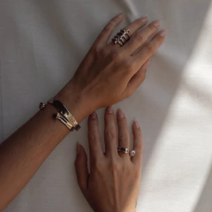 Anillo Herradura en internet