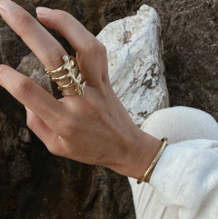 ANILLO VERTEBRATO