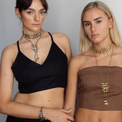 COLLAR VERTEBRATO en internet