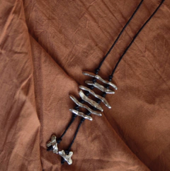 COLLAR VERTEBRATO en internet