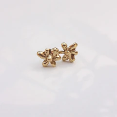AROS FIORE