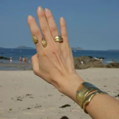 Imagen de ANILLO CALCAREO