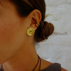 AROS MOLUSCO