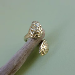 ANILLO CALCAREO