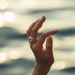 ANILLO GRUTA en internet