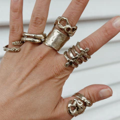 ANILLO VERTEBRATO en internet