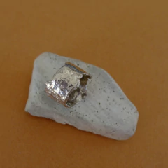 ANILLO TROGIR en internet