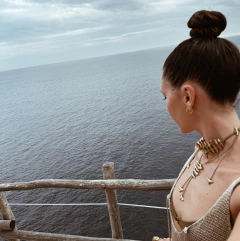 COLLAR VERTEBRATO - comprar online