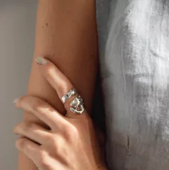 Anillo Crustáceo - comprar online