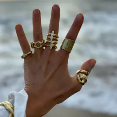 Anillo Origen en internet