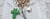 Banner de JoyaStore