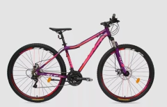 Bicicleta Rdo 29 Mtb Slp 25 pro lady 21 vel con Disk