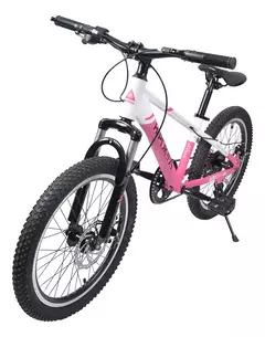 Bicicleta Rdo 20 Mtb Bipo con freno a disco y 7 velocidades en internet