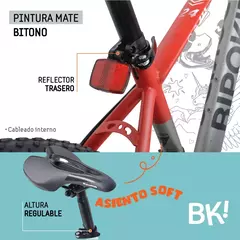 Bicicleta Mtb Rdo 24 Bipo 21 vel y Frenos a Disco - tienda online