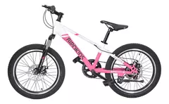 Bicicleta Rdo 20 Mtb Bipo con freno a disco y 7 velocidades - Bicicletas Necchi