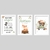 Kit 3 Quadros Menino Bosque
