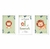 Kit Quadros Menino leão - comprar online